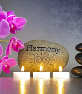 Vivi (44) - Nagykanizsa - kép 448246