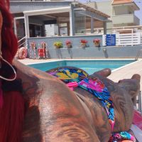 Stella (56) - Nyíregyháza - kép 1011924